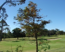 Enlarge photo
